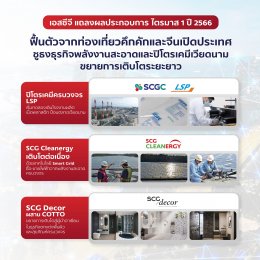 ปูนซิเมนต์ไทย จำกัด (มหาชน)